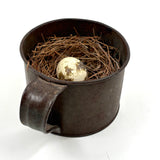 19th Century Tin Cup with Bird's Nest and Spotted Quail Egg, As Found in Maine