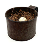 19th Century Tin Cup with Bird's Nest and Spotted Quail Egg, As Found in Maine