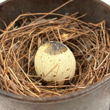 19th Century Tin Cup with Bird's Nest and Spotted Quail Egg, As Found in Maine