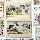 19th Century Rewards of Merit Group 3 (Blank and Ready to Use!)