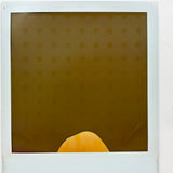 Unusual and Evocative Abstract Vintage Polaroid
