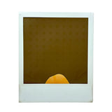 Unusual and Evocative Abstract Vintage Polaroid