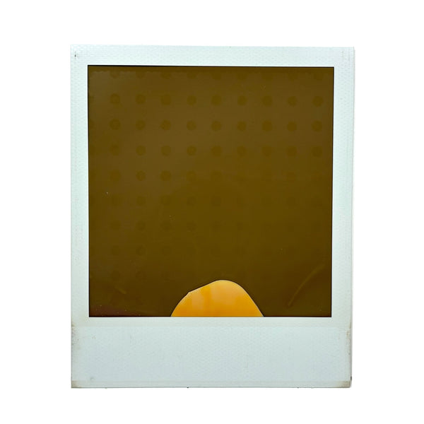 Unusual and Evocative Abstract Vintage Polaroid