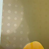 Unusual and Evocative Abstract Vintage Polaroid