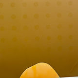 Unusual and Evocative Abstract Vintage Polaroid