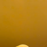 Unusual and Evocative Abstract Vintage Polaroid