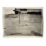 SOLD Boa Having Eaten an Antelope, With Excellent Sleuthy Shadow, Earlyish 20th C. French Photograph