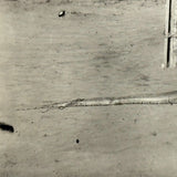 SOLD Boa Having Eaten an Antelope, With Excellent Sleuthy Shadow, Earlyish 20th C. French Photograph