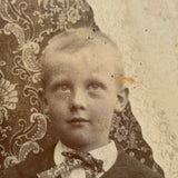 Boy in Suit with Fur Rug and Patterns Everywhere (on Grass???), Wonderful Antique Mounted Photo