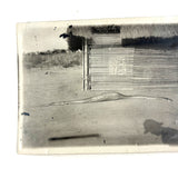 SOLD Boa Having Eaten an Antelope, With Excellent Sleuthy Shadow, Earlyish 20th C. French Photograph