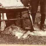 Boy in Suit with Fur Rug and Patterns Everywhere (on Grass???), Wonderful Antique Mounted Photo