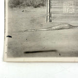 SOLD Boa Having Eaten an Antelope, With Excellent Sleuthy Shadow, Earlyish 20th C. French Photograph