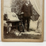 Boy in Suit with Fur Rug and Patterns Everywhere (on Grass???), Wonderful Antique Mounted Photo