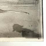 SOLD Boa Having Eaten an Antelope, With Excellent Sleuthy Shadow, Earlyish 20th C. French Photograph