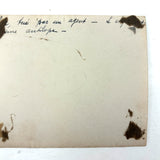 SOLD Boa Having Eaten an Antelope, With Excellent Sleuthy Shadow, Earlyish 20th C. French Photograph