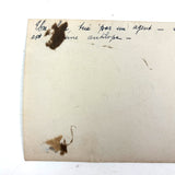 SOLD Boa Having Eaten an Antelope, With Excellent Sleuthy Shadow, Earlyish 20th C. French Photograph