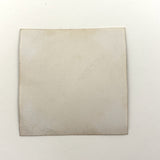 Whole World in a Gesture, C. 1920s-40s Velox Print Micrograph