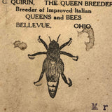 From The Queen Breeder, 1921 Postmarked Cover, Bellevue Ohio
