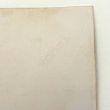 Whole World in a Gesture, C. 1920s-40s Velox Print Micrograph