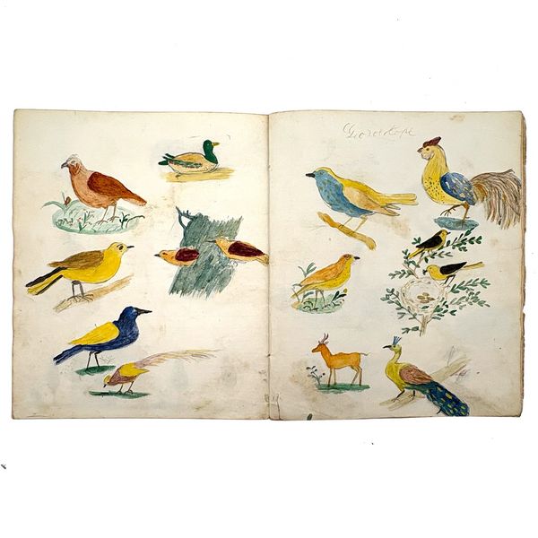 Caleb Cope's Most Wonderful Earlyish 19th Century Notebook with Many Watercolors and Schoolwork