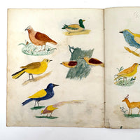 Caleb Cope's Most Wonderful Earlyish 19th Century Notebook with Many Watercolors and Schoolwork