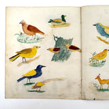 Caleb Cope's Most Wonderful Earlyish 19th Century Notebook with Many Watercolors and Schoolwork