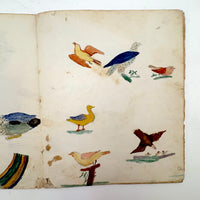 Caleb Cope's Most Wonderful Earlyish 19th Century Notebook with Many Watercolors and Schoolwork