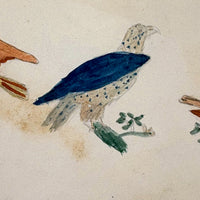 Caleb Cope's Most Wonderful Earlyish 19th Century Notebook with Many Watercolors and Schoolwork
