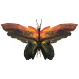 Painted Cutout Butterly with Fine Antennae!