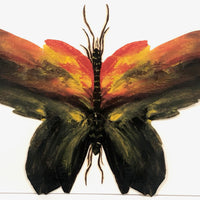 Painted Cutout Butterly with Fine Antennae!