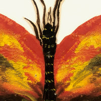 Painted Cutout Butterly with Fine Antennae!