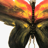 Painted Cutout Butterly with Fine Antennae!