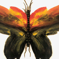 Painted Cutout Butterly with Fine Antennae!