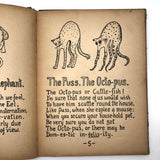 Animal Analogues by Robert Williams Wood, 1908 First Edition