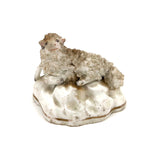 Very Endearing Early Staffordshire Little Lamb