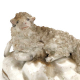 Very Endearing Early Staffordshire Little Lamb