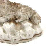 Very Endearing Early Staffordshire Little Lamb