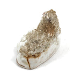 Very Endearing Early Staffordshire Little Lamb