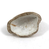 Very Endearing Early Staffordshire Little Lamb