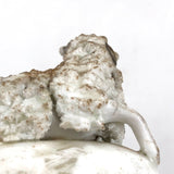 Very Endearing Early Staffordshire Little Lamb