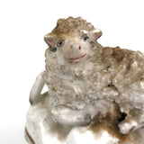 Very Endearing Early Staffordshire Little Lamb