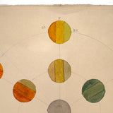 Watercolor Color Study (with Toned Leaves on Reverse)