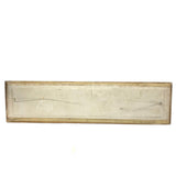 Painted Row of Loons on Long Beveled Wood Panel