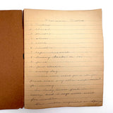 Faye Lucie Hart's Excellent Early 20th Century Sewing Book in Beautiful Condition