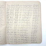 The World Revolves Around the Sun (Good Manners), c. 1890 Penmanship Notebook, Full
