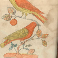Two Birds, Pennsylvania German Schoolgirl Fraktur Watercolor