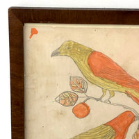 Two Birds, Pennsylvania German Schoolgirl Fraktur Watercolor