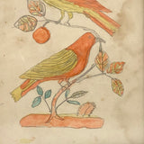 Two Birds, Pennsylvania German Schoolgirl Fraktur Watercolor