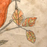 Two Birds, Pennsylvania German Schoolgirl Fraktur Watercolor