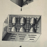 Sackett & Wilhelms Litho Co. Late 19th c. Egg Carriers and Slaughtering Meat Oversized Print